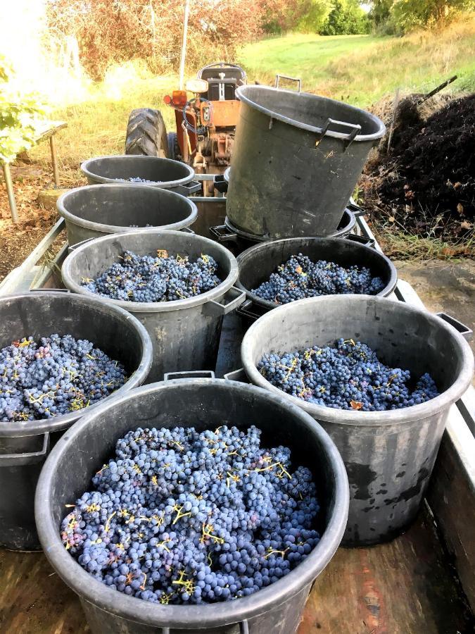 Le Clos D'Almide 모네스티에 외부 사진