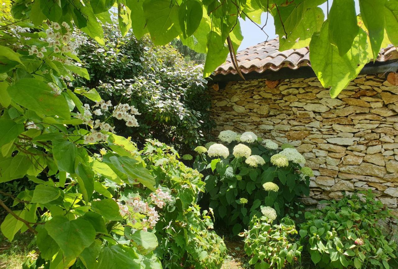 Le Clos D'Almide 모네스티에 외부 사진